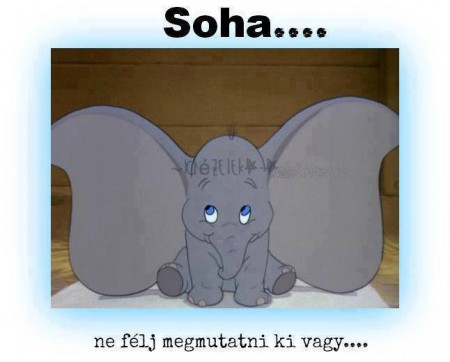 csak vállald fel önmagad!